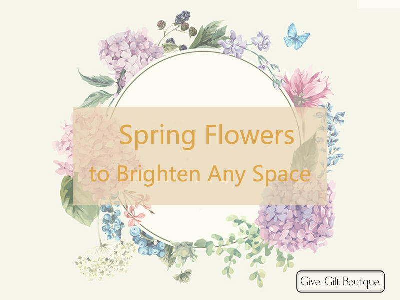Spring Flowers to Brighten Any Space 